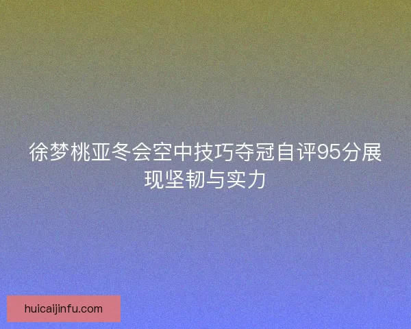 徐梦桃亚冬会空中技巧夺冠自评95分展现坚韧与实力